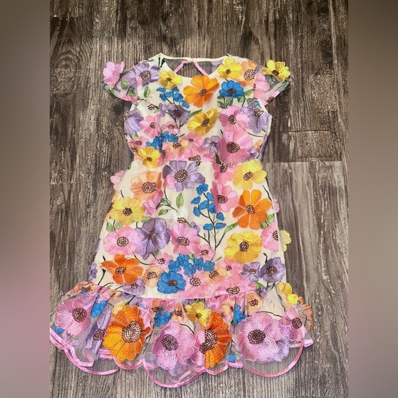 Giselle Embroidered Dress by Girls size 7 - Picture 1 of 5